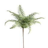 Marsh Fern Floral Pick