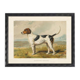 Foxhound Framed Artwork