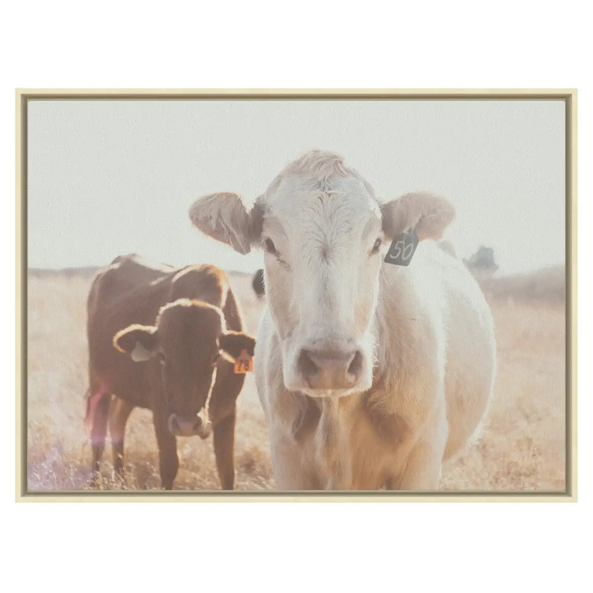 Rustic Ranch Cow II - Wall Art