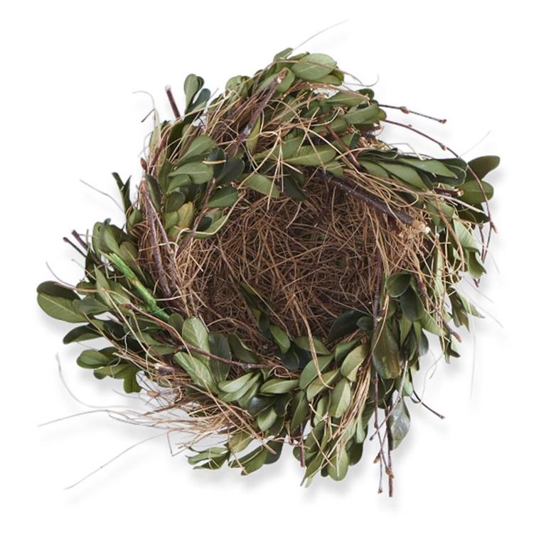 Boxwood and Grass Nest