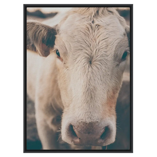 Rustic Ranch Cow I - Wall Art