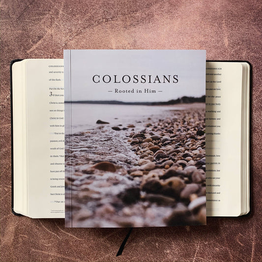Colossians - Rooted in Him Devotional - Mens