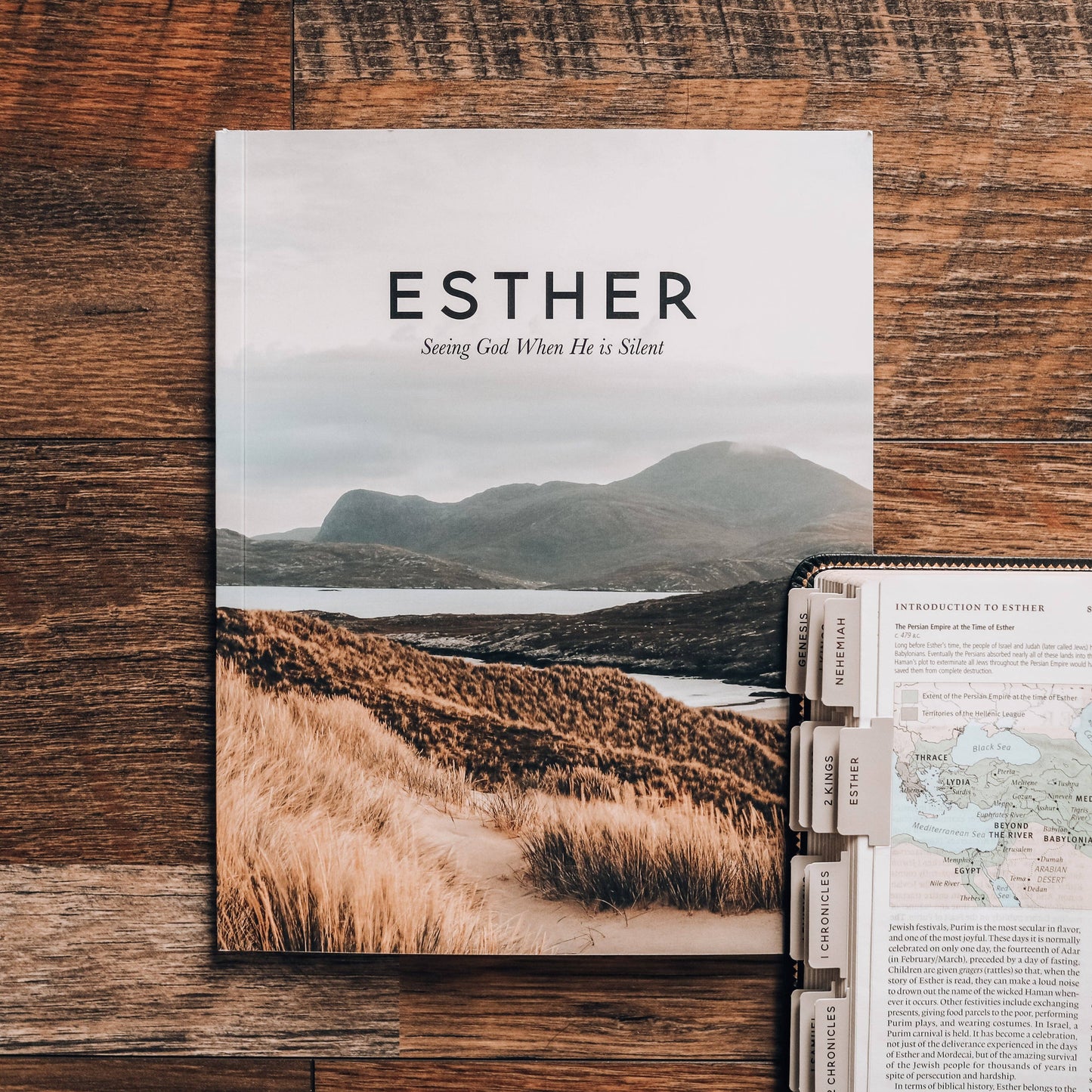 Esther | Seeing God When He Is Silent - Men