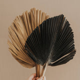 14" Natural/Gold/Charcoal/Rose Gold Hand-Painted Palm Frond