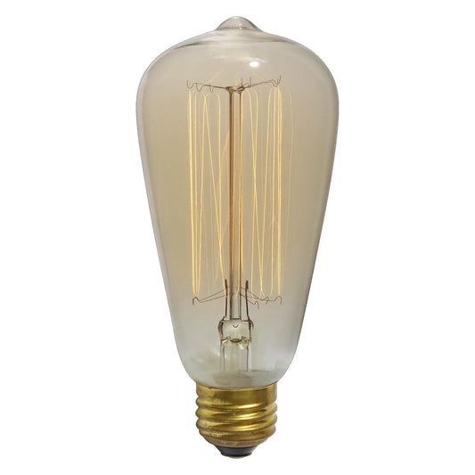 Large Edison Bulb