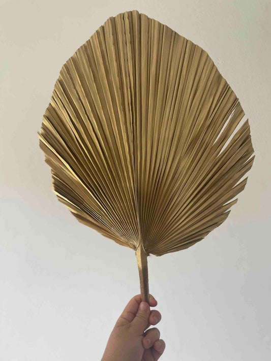 14" Natural/Gold/Charcoal/Rose Gold Hand-Painted Palm Frond