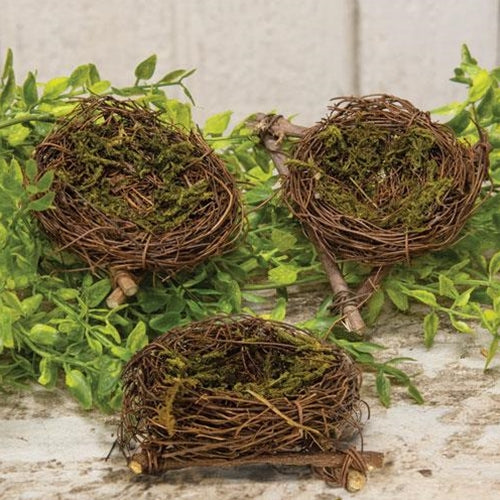Mini Bird Nests with Moss