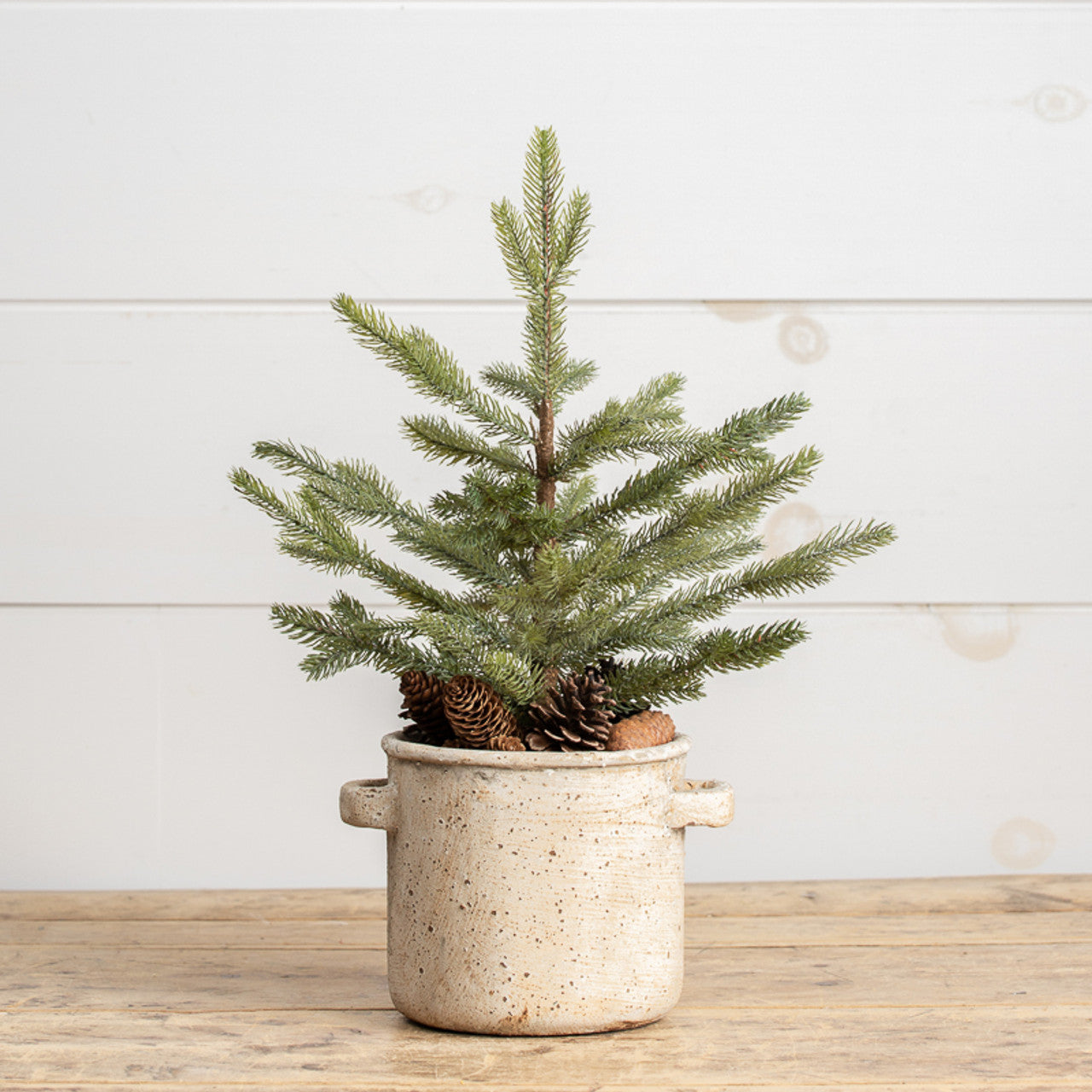Pine Tree In Ceramic Pot With Pinecones
