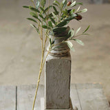 Olive Spray I Stem