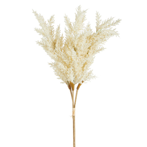 Cream Dried Pampas Grass Bundle
