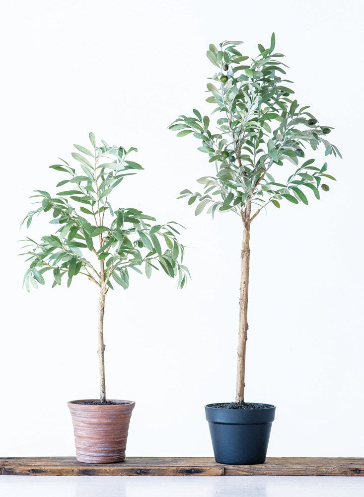 Faux Olive Plant in Terra-cotta Pot