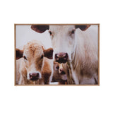 Wood Framed Wall Décor with Cows Photography