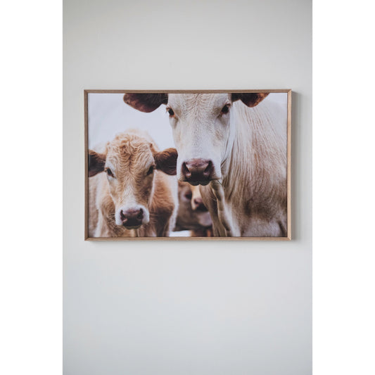 Wood Framed Wall Décor with Cows Photography