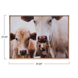 Wood Framed Wall Décor with Cows Photography