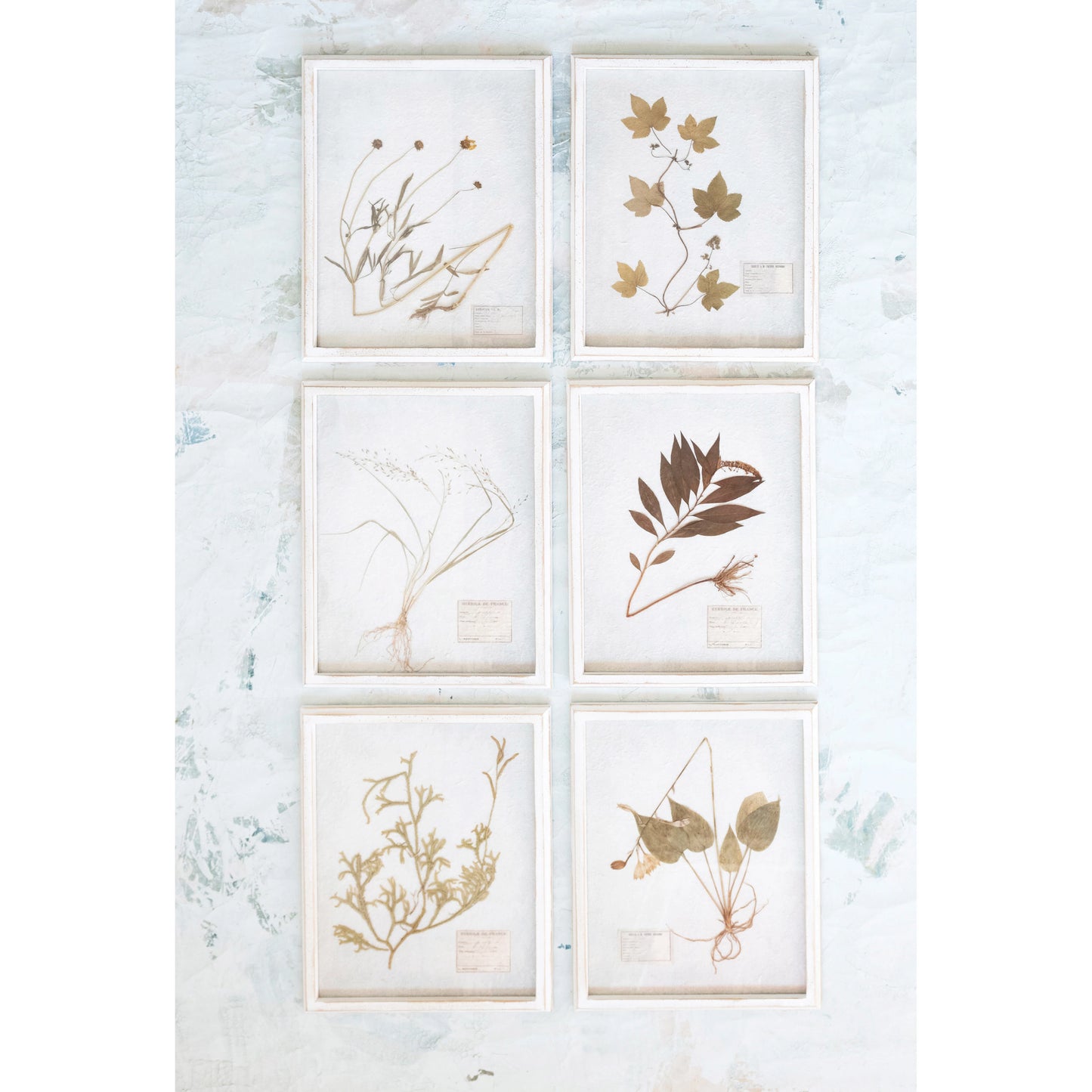 Wood Framed Glass Wall Décor with Dried Botanicals, 6 Styles