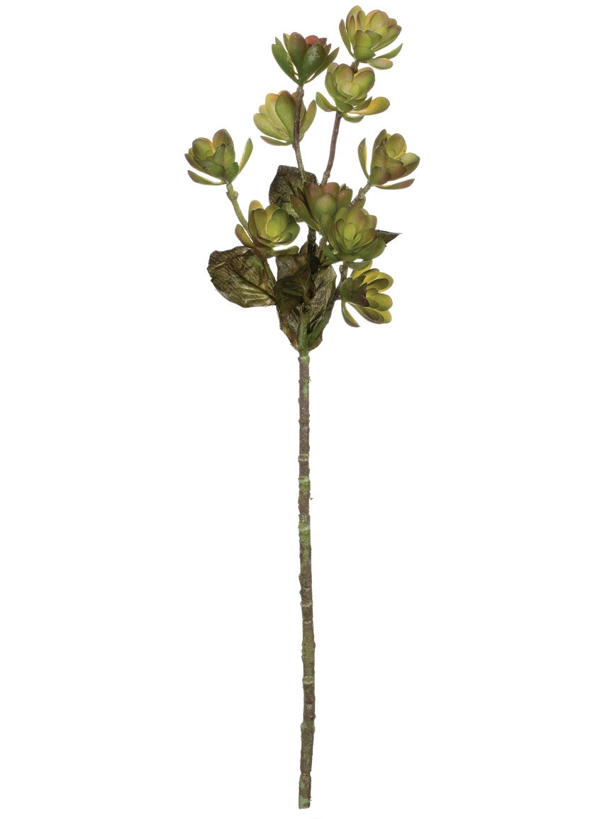 Mini Succulent Stem