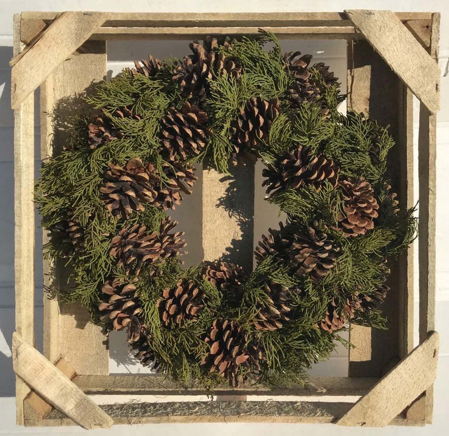 Pine Cone Wreath with Branches White Tip 19"