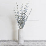 Triple Stem Eucalyptus