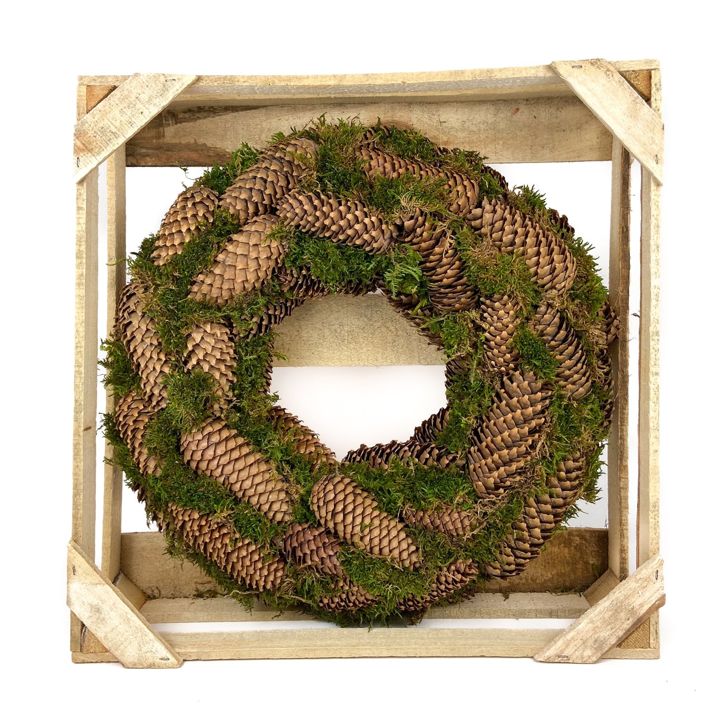 Pine Cone Spruce Wreath with Moss 19"