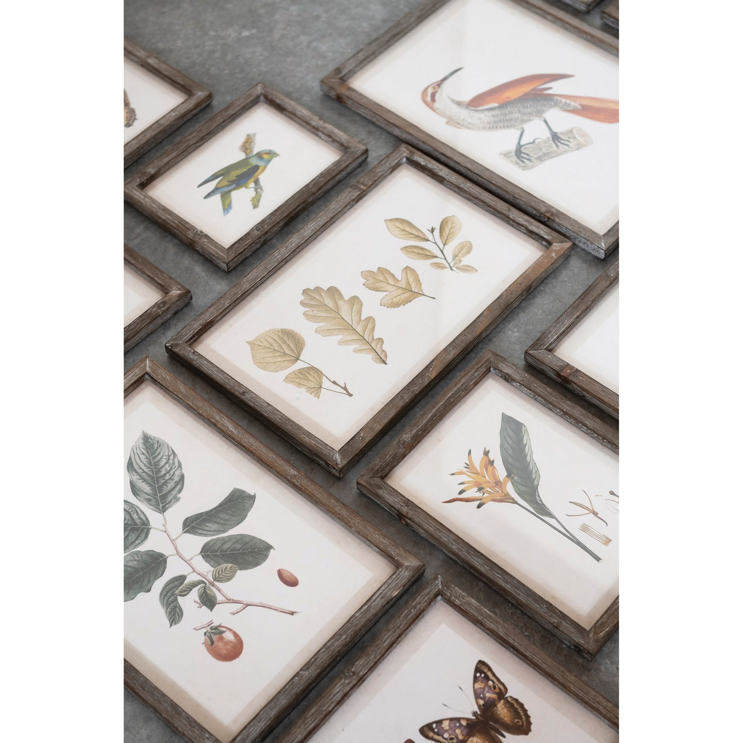Assorted Wood Frames Collage