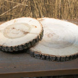 Poplar Wood Slice