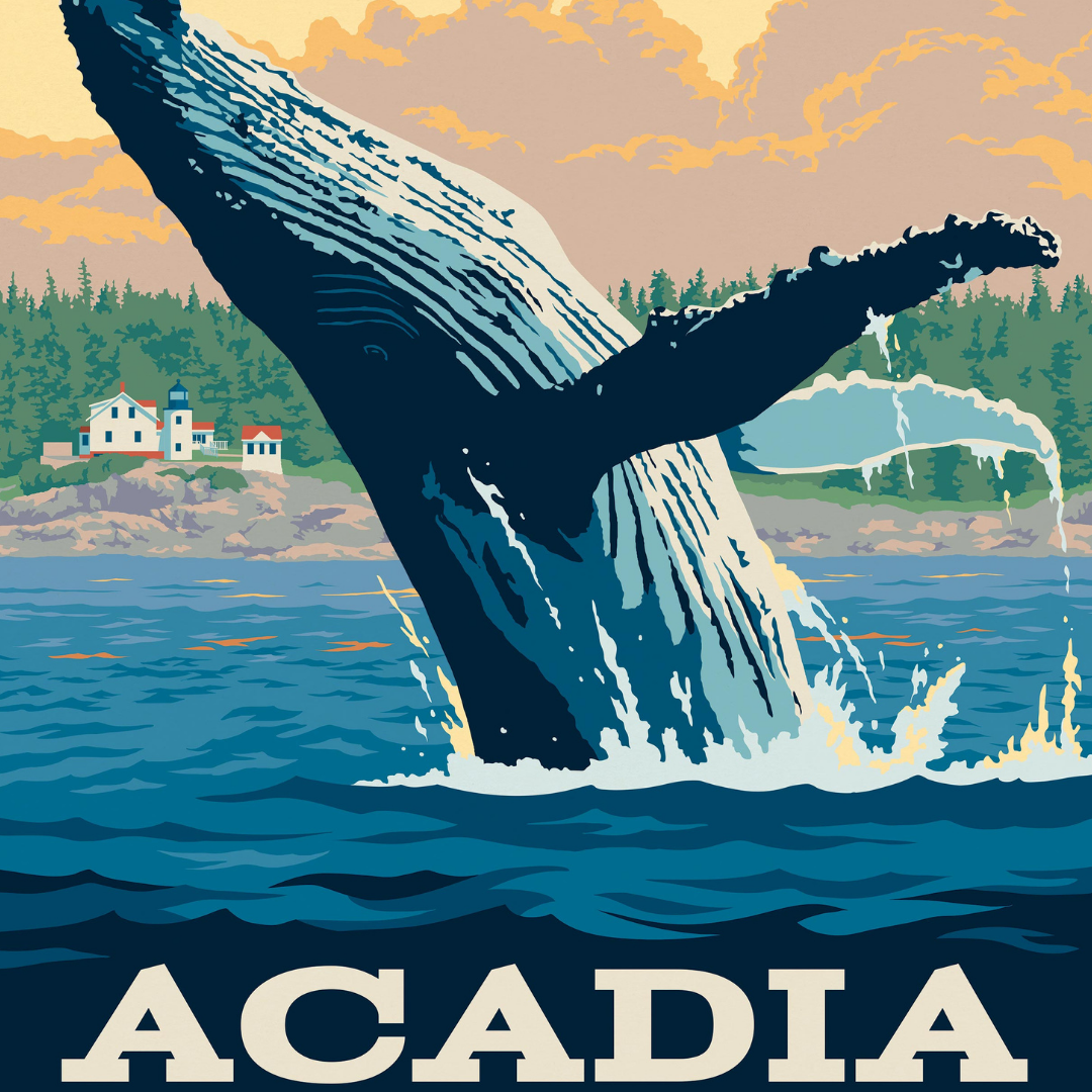 Acadia: Whales Jigsaw Puzzle