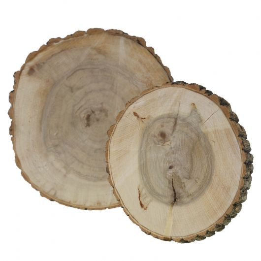 Poplar Wood Slice