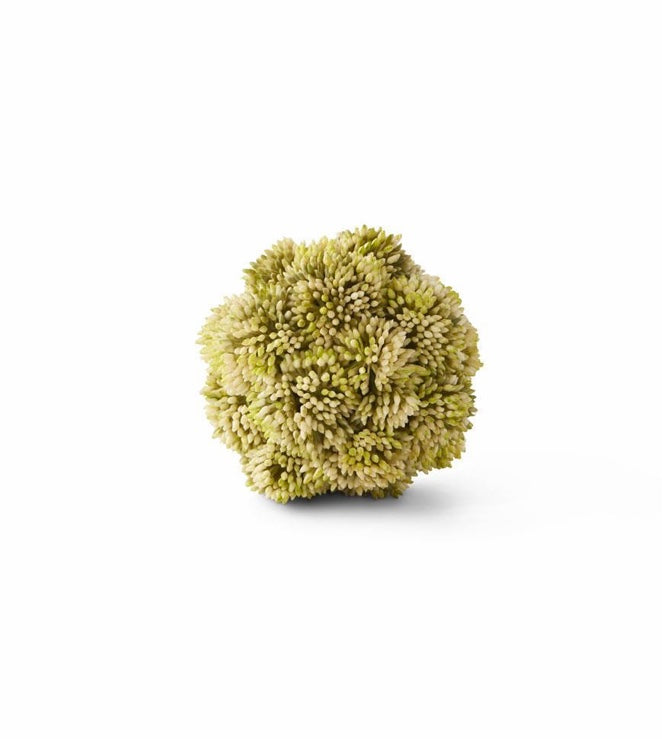 4 Inch Green Sedum Ball