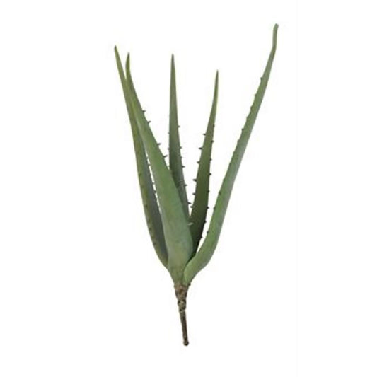 Faux Aloe Pick