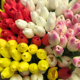 Tulip Stem | Tons of Colors Available!